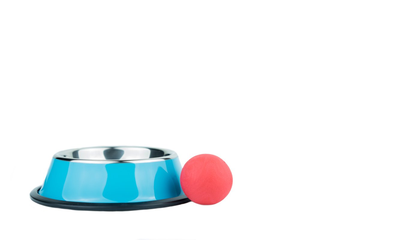 Pet supplies concept.  Pet Stainless bowls with toy on isolated white background.